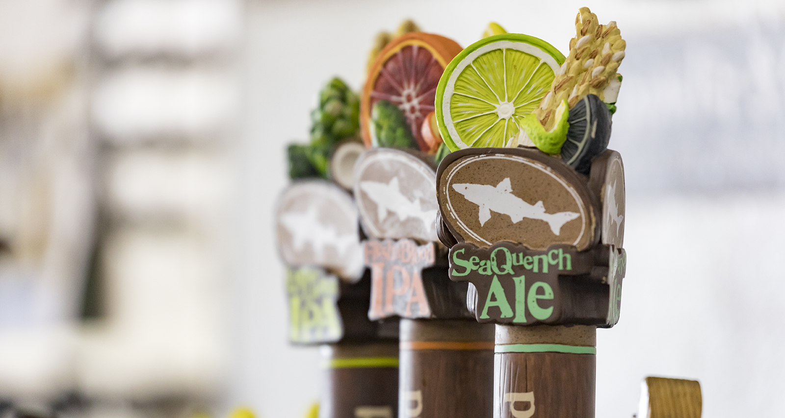 Dogfish Brewery SeaQuench labeled tap handles.